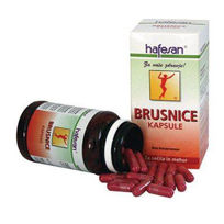 Slika Hafesan brusnica, 60 kapsul ali KOMPLET