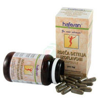 Slika Hafesan rdeča detelja in izoflavoni, 60 kapsul ali KOMPLET