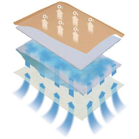 Slika Eclypse visoko vpojne obloge 10x10 cm, 20 oblog