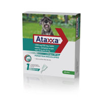 Slika Ataxxa 1250 mg/250 mg kožni nanos raztopina za pse 10 - 25 kg, 2.5 mL