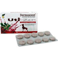 Slika Dermoscent Uti-Zen tablete za pse in mačke, 30 tablet