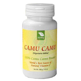 Slika Camu Camu v prahu, 100 g