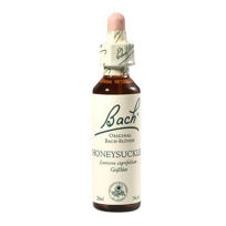 Slika Bach Kovačnik bachova esenca v kapljicah, 20 mL