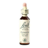 Slika Bach Clematis Srobot bachova esenca v kapljicah, 20 mL