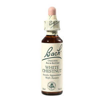Slika Bach Divji kostanj z belimi cvetovi bachova esenca v kapljicah, 20 mL