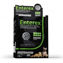 Slika Vetnil Enterex vrečice, 10x8 g
