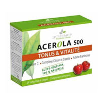 Slika Acerola 500, 24 žvečljivih tablet