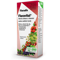 Slika Floradix FLORAVITAL, 250 mL