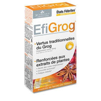 Slika Efigrog prah za pripravo groga z ingverjem, 5 vrečk