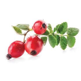 Slika Šipek - grobo mleti in s semeni, 1 Kg