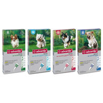 Slika Advantix ampule/kožni nanos za pse - različne velikosti, 4 ampule