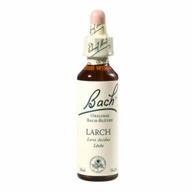 Slika Bach Macesen (Larch) esenca kapljice, 20 mL