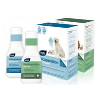Slika Viyo Recuperation nizkokalorična raztopina - psi/mačke, 150 mL