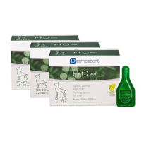 Slika PyoSpot nanos za pse - kožni nanos, 4 pipete