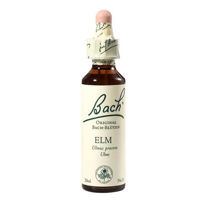 Slika Bach Elm brest bachove kapljice, 20 mL