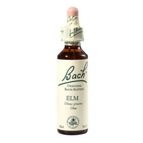 Slika Bach Elm brest bachove kapljice, 20 mL