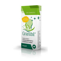 Slika Granobil, 20 pastil