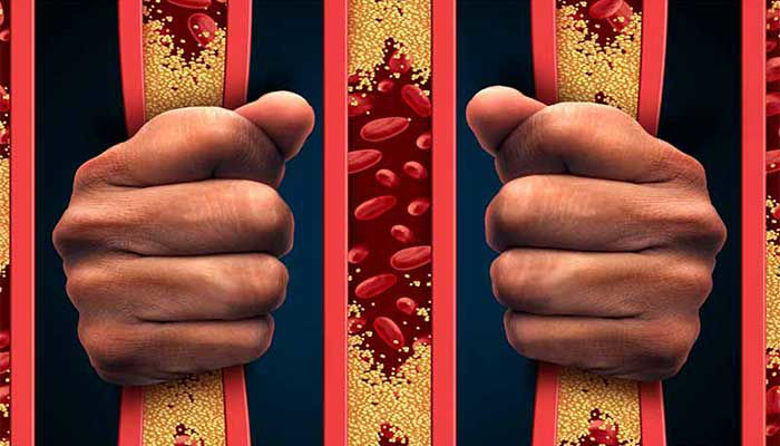 Picture of Naravni statini - zdravilo prihodnosti!