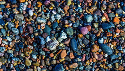 Selen in cink - esencialna minerala!