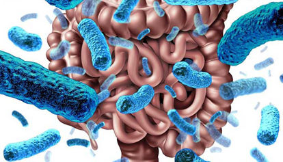 Izbira pravega probiotičnega seva