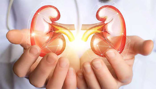 Canephron - nov pristop pri zdravljenju akutnih in ponavljajočih se okužb sečil ter razdražljivega mehurja!