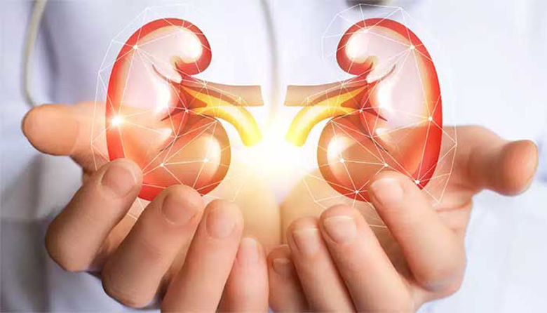 Picture of Canephron - nov pristop pri zdravljenju akutnih in ponavljajočih se okužb sečil ter razdražljivega mehurja!