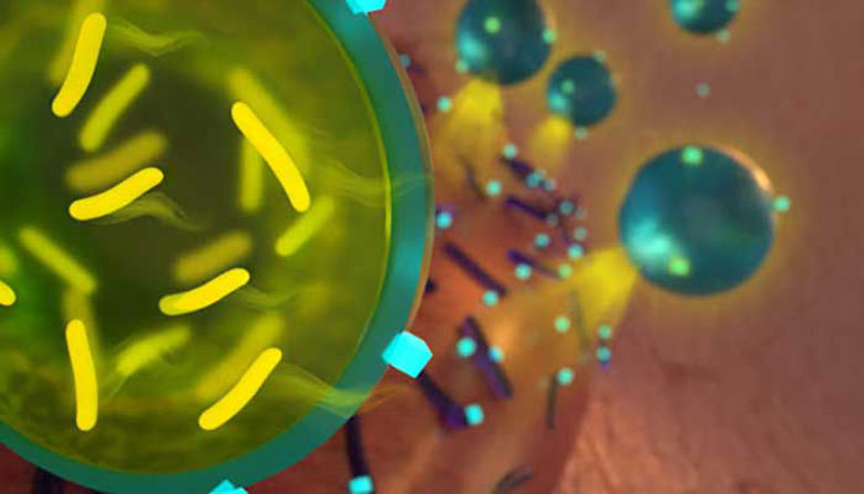 Picture of Zakaj ob antibiotiku jemati tudi probiotik?