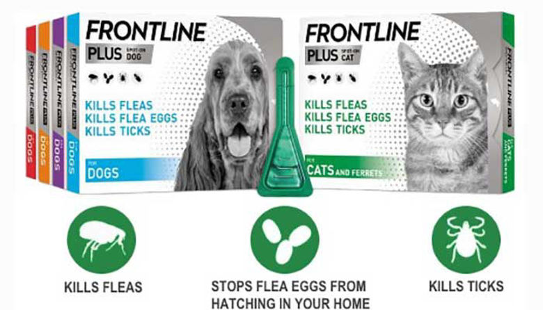 Picture of Sezona klopov in bolh se začenja!