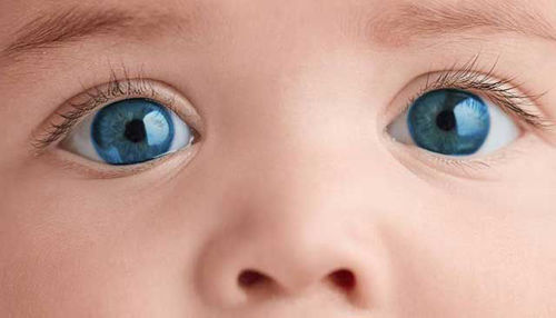 VNETE OČI IN NAPOTKI