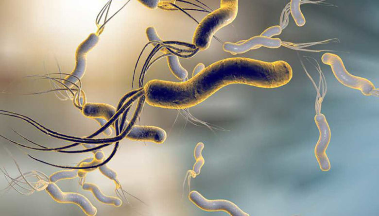 Picture of Okuženost svetovnega prebivalstva z bakterijo Helicobacter pylori