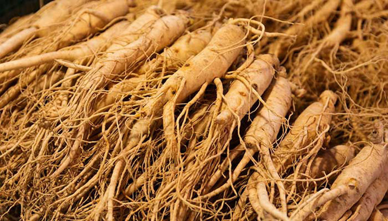 Picture of GINSENG