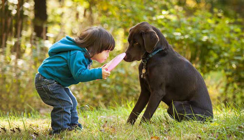 KAKO SE ZAŠČITIMO PRED KLOPI