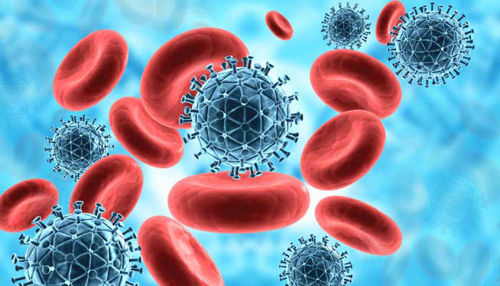 Imunski sistem in beta-glukani