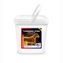 Slika Equine America Turmeric Xtra za konje, 3 kg