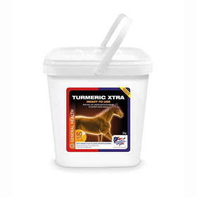 Slika Equine America Turmeric Xtra za konje, 3 kg
