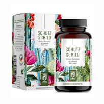 Slika Naturtreu kompleks z ameriškim slamnikom in šipkom, 120 kapsul