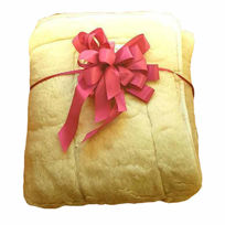 Slika Bio Merino izdelek iz čiste ovčje volne - odeja, vzglavnik, komplet