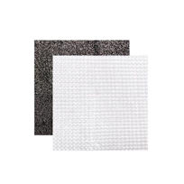 Slika Lanaform filter za Dehumidifier S1, 1 filter