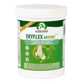 Slika Ekyflex Arthro Evo Laud, 900 g