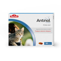 Slika Antinol kapsule za podporo zdravim sklepom za mačke, 30 kapsul