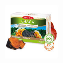 Slika Terezia Čaga + reiši in rakitovec, 60 kapsul