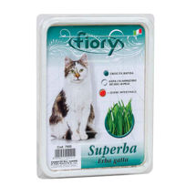 Slika Fiory Superba mačja trava seme, 1 pakiranje