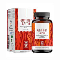 Slika Naturtreu kompleks s kurkumo, bosvelijo, ingverjem in cimetom, 90 kapsul