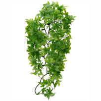 Slika Zoo Med Natural Bush rastlina, različne velikosti, 1 rastlina