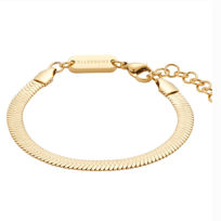 Energetix,elegantna magnetna zapestnica