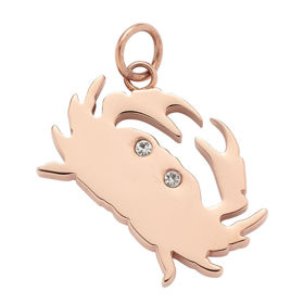 Energetix magnetni obesek v obliki raka