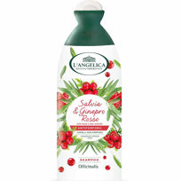 L'Angelica Botanics, šampon proti prhljaju, žajbelj in rdeči brinj