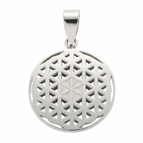 Energetix magnetni obesek