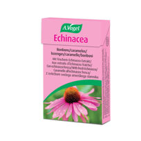 Echinacea bonboni