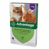 Slika Advantage 80 kožne kapljice za mačke in hišne zajčke - nad >4 kg, 4 x 0.8 mL